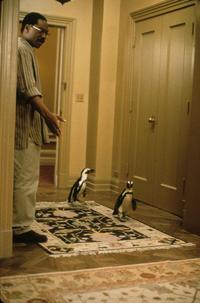 Dr. Dolittle - 8 x 10 Color Photo #17