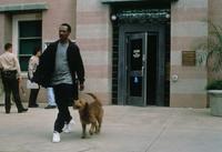 Dr. Dolittle - 8 x 10 Color Photo #20