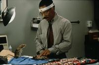 Dr. Dolittle - 8 x 10 Color Photo #21