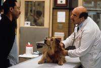 Dr. Dolittle - 8 x 10 Color Photo #23