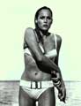 Dr. No - 8 x 10 Color Photo #13