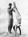Dr. No - 8 x 10 B&W Photo #11