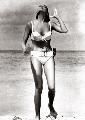Dr. No - 8 x 10 B&W Photo #12