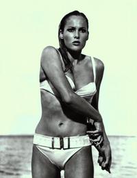 Dr. No - 8 x 10 Color Photo #13