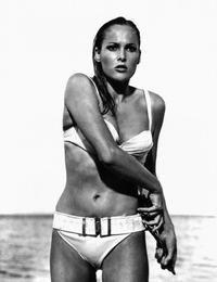 Dr. No - 8 x 10 B&W Photo #8