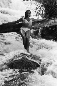 Dr. No - 8 x 10 B&W Photo #13