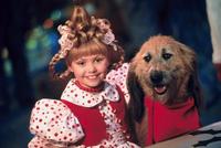 Dr. Seuss' How the Grinch Stole Christmas - 8 x 10 Color Photo #10