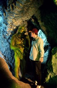 Dr. Seuss' How the Grinch Stole Christmas - 8 x 10 Color Photo #11