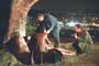 Dragnet (TV) - 8 x 10 Color Photo #021