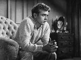 East of Eden - 8 x 10 B&W Photo #5