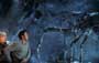 Eight Legged Freaks - 8 x 10 Color Photo #12