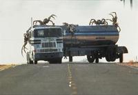 Eight Legged Freaks - 8 x 10 Color Photo #6
