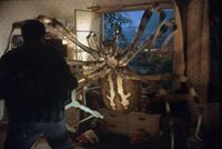 Eight Legged Freaks - 8 x 10 Color Photo #9