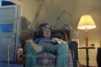 Eight Legged Freaks - 8 x 10 Color Photo #10