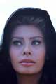 El Cid - 8 x 10 Color Photo #24