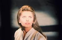 El Cid - 8 x 10 Color Photo #20