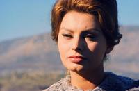 El Cid - 8 x 10 Color Photo #21