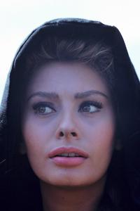 El Cid - 8 x 10 Color Photo #24