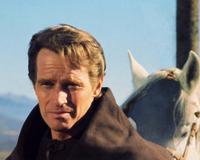 El Cid - 8 x 10 Color Photo #34