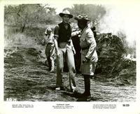 Elephant Gun - 8 x 10 B&W Photo #1