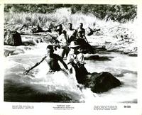 Elephant Gun - 8 x 10 B&W Photo #4