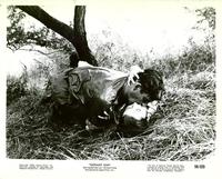 Elephant Gun - 8 x 10 B&W Photo #5