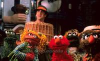 Elmo in Grouchland - 8 x 10 Color Photo #1