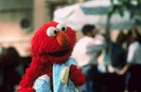 Elmo in Grouchland - 8 x 10 Color Photo #3