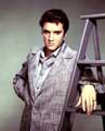 Elvis Presley - 8 x 10 Color Photo #20