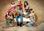 Elvis Presley - 8 x 10 Color Photo #30