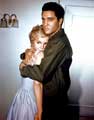 Elvis Presley - 8 x 10 Color Photo #31