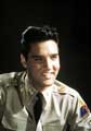 Elvis Presley - 8 x 10 Color Photo #41