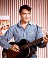 Elvis Presley - 8 x 10 Color Photo #54
