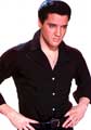 Elvis Presley - 8 x 10 Color Photo #57