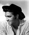 Elvis Presley - 8 x 10 Color Photo #63