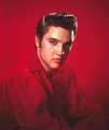 Elvis Presley - 8 x 10 Color Photo #66