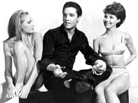 Elvis Presley - 8 x 10 Color Photo #56