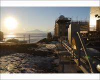 Encounters at the End of the World - 8 x 10 Color Photo #4