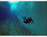 Encounters at the End of the World - 8 x 10 Color Photo #7
