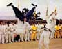 Enter the Dragon - 8 x 10 Color Photo #4
