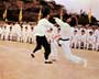 Enter the Dragon - 8 x 10 Color Photo #5