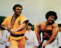 Enter the Dragon - 8 x 10 Color Photo #3