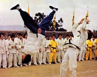 Enter the Dragon - 8 x 10 Color Photo #4