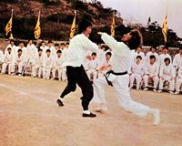 Enter the Dragon - 8 x 10 Color Photo #5