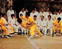 Enter the Dragon - 8 x 10 Color Photo #6