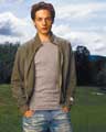Everwood - 8 x 10 Color Photo #5