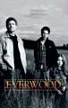 Everwood - 11 x 17 TV Poster - Style A