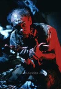 Evil Spirits - 8 x 10 Color Photo #14