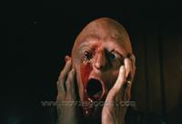 Evil Spirits - 8 x 10 Color Photo #18