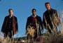 Evolution - 8 x 10 Color Photo #12